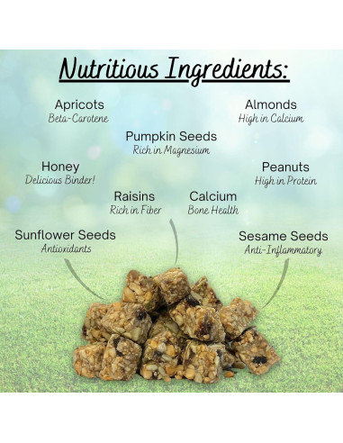 Bloques Nutricionales para Ardillas Exotic Nutrition 283.5 g