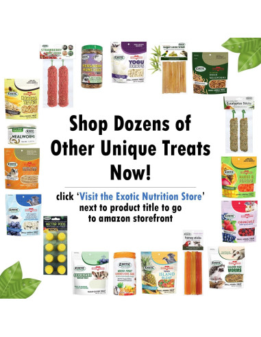 Bloques Nutricionales para Ardillas Exotic Nutrition 283.5 g