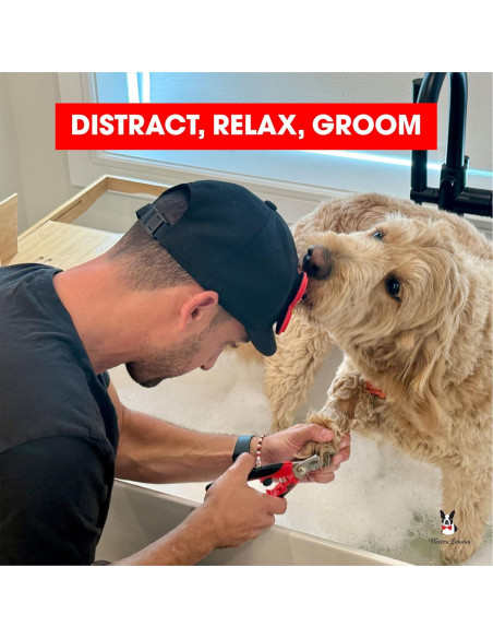 Distract-A-Hat Warren London - Sombrero para Perros Acicalamiento