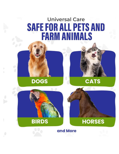 Plata Coloidal HighVibe 946 ml para Cuidado de Mascotas