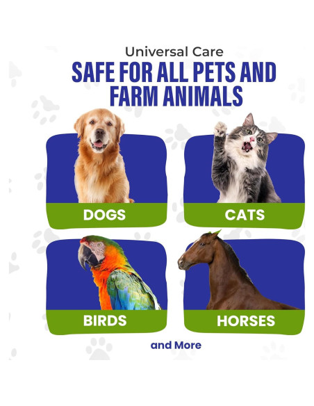 Plata Coloidal HighVibe 946 ml para Cuidado de Mascotas