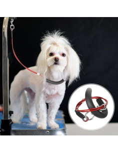 Lazos de Aseo para Perros Chunful - 8 Piezas Ajustables 62 cm 2