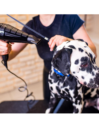 Lazos de Aseo para Perros Chunful - 8 Piezas Ajustables 62 cm