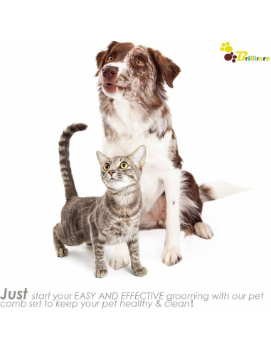 Conjunto de 4 Peines para Aseo de Mascotas Brillirare