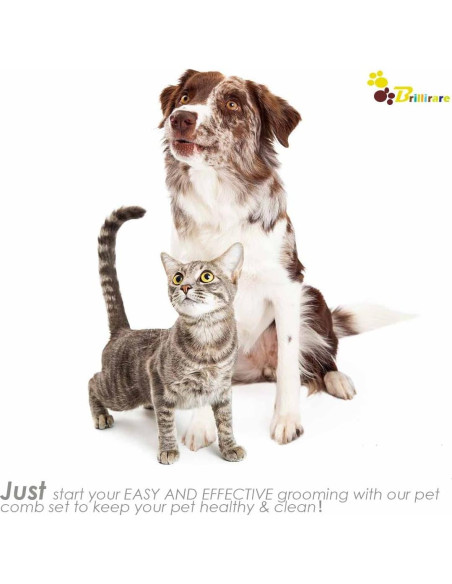 Conjunto de 4 Peines para Aseo de Mascotas Brillirare