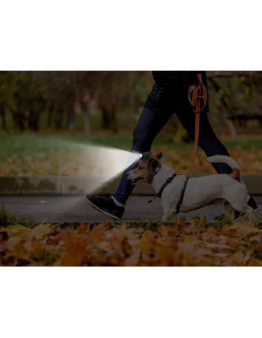 Luz de Cabeza para Perro Wercokt Recargable Impermeable