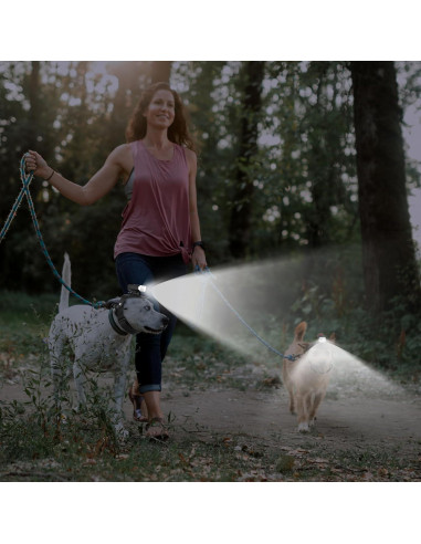 Luz de Cabeza para Perro Wercokt Recargable Impermeable