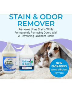 Limpiador de Orina Kinzua Environmental 3.785L Aroma Lavanda 2