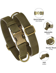 Collar para Perro Didog de Cuero PU Verde Oscuro Talla S 25-41 cm 2