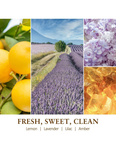 Vela Aromática de Soja Huizhou 311g Lavanda y Limón