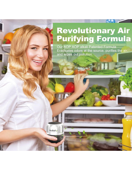 Desodorante de Refrigerador AOP ALKALI 2Pack Ecológico 199g
