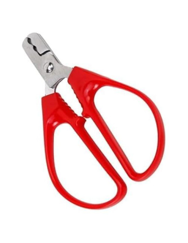 Alicate para romper semillas de melón y nueces ZhangyiHot