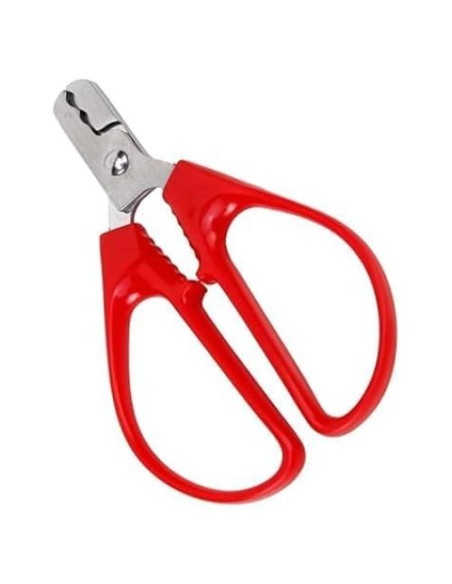 Alicate para romper semillas de melón y nueces ZhangyiHot