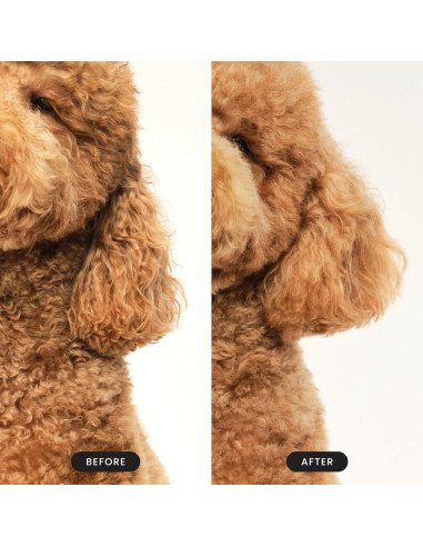 Cepillo Desenredante Pet Teezer Tangle Teezer Grande Rosa Amarillo