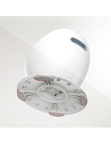 Silla de Entrenamiento para el Baño Joylittle - Blanca y Teal