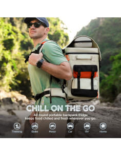 Nevera Eléctrica Portátil LiTHELi U20HW05-0A101 20L Beige 2