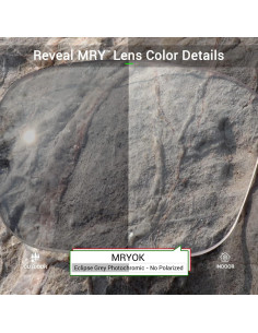 Lentes de Reemplazo Mryok para Gafas Wiley X SG-1 2