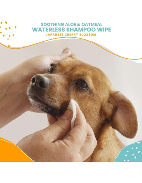 Toallitas de Champú Sin Agua Nootie 70 Unidades - Flor de Cerezo Toallitas de Champú Sin Agua Nootie 70 Unidades - Flor de Cerezo