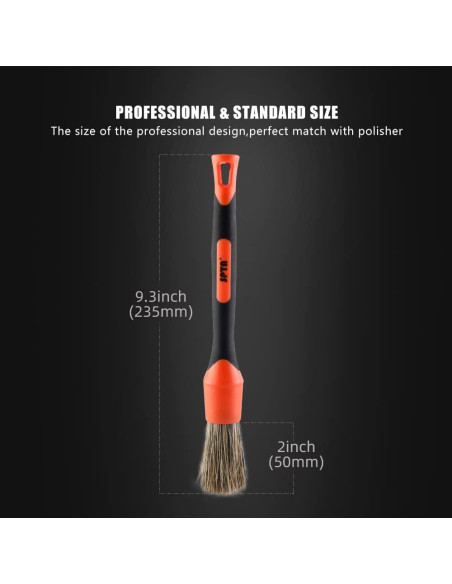 Juego de Cepillos para Detalle de Automóviles SPTA 5 Piezas