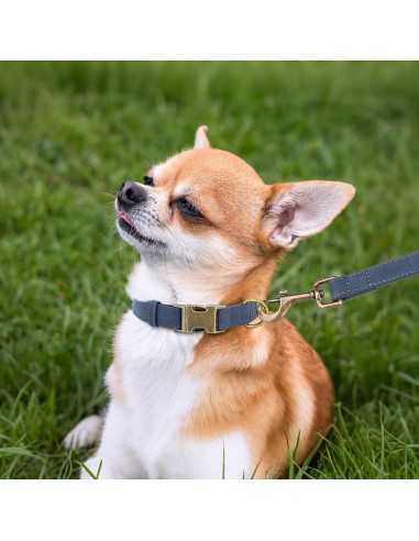 Collar para Perro Didog de Cuero PU Ajustable Azul Talla S