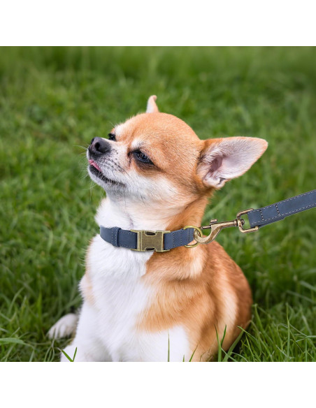 Collar para Perro Didog de Cuero PU Ajustable Azul Talla S