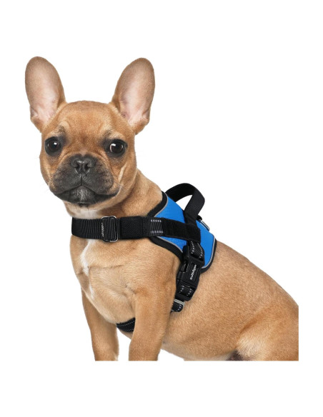 Arnés para Perros Rabbitgoo Azul S - Chaleco Ajustable y Reflectante