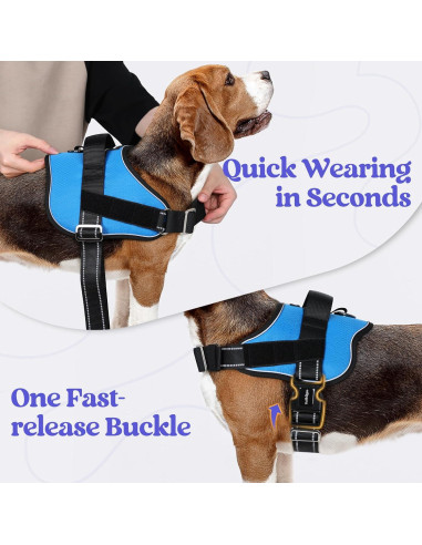 Arnés para Perros Rabbitgoo Azul S - Chaleco Ajustable y Reflectante