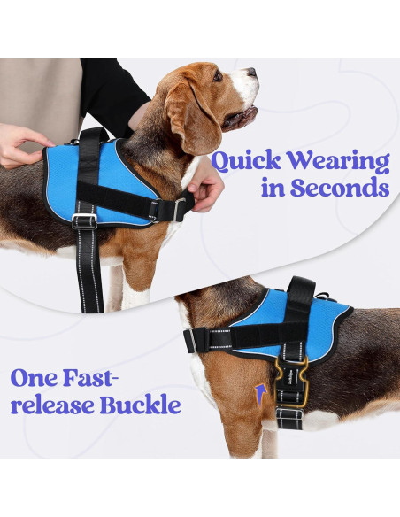 Arnés para Perros Rabbitgoo Azul S - Chaleco Ajustable y Reflectante