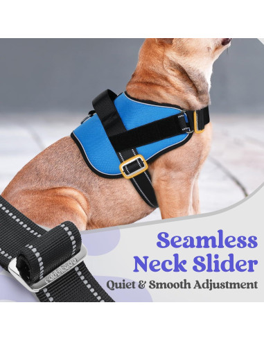 Arnés para Perros Rabbitgoo Azul S - Chaleco Ajustable y Reflectante