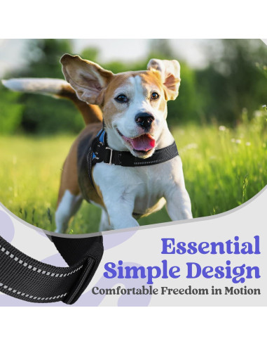 Arnés para Perros Rabbitgoo Azul S - Chaleco Ajustable y Reflectante