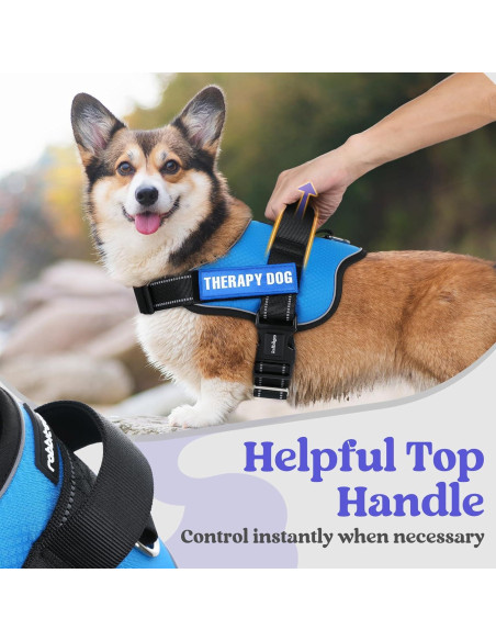 Arnés para Perros Rabbitgoo Azul S - Chaleco Ajustable y Reflectante