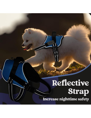 Arnés para Perros Rabbitgoo Azul S - Chaleco Ajustable y Reflectante