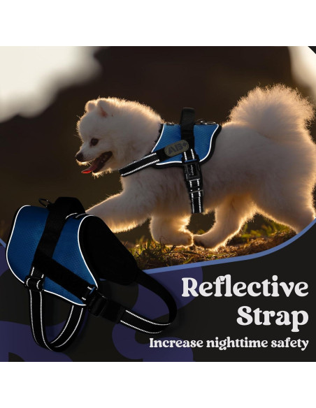 Arnés para Perros Rabbitgoo Azul S - Chaleco Ajustable y Reflectante