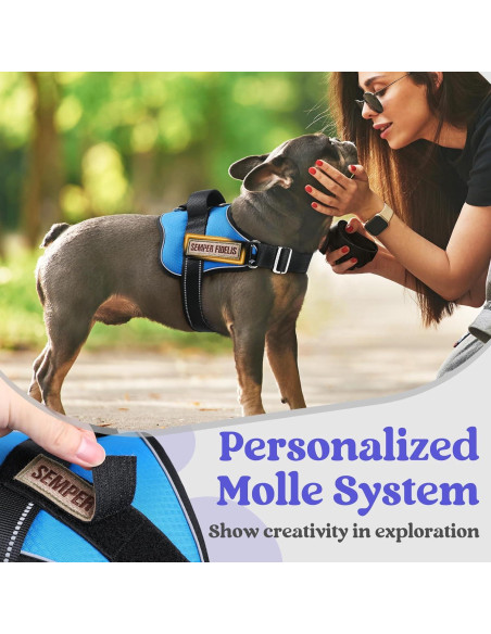 Arnés para Perros Rabbitgoo Azul S - Chaleco Ajustable y Reflectante