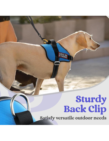 Arnés para Perros Rabbitgoo Azul S - Chaleco Ajustable y Reflectante