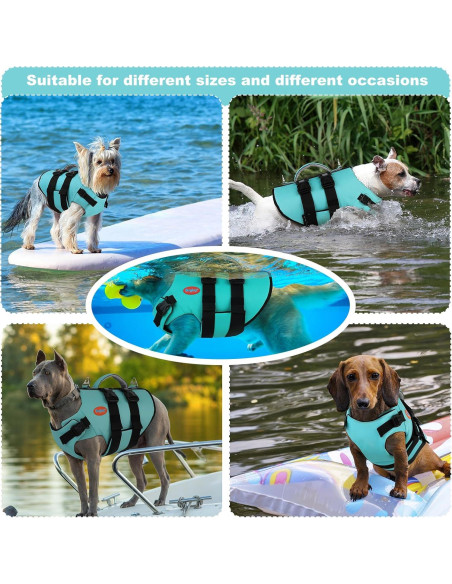 Chaleco Salvavidas para Perros Doglay - Flotabilidad Alta Verde Acuático