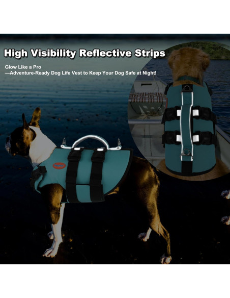Chaleco Salvavidas para Perros Doglay - Flotabilidad Alta Verde Acuático