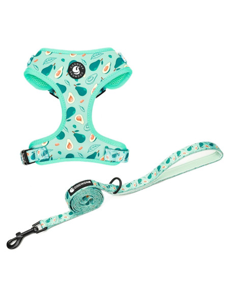 Conjunto Arnés y Correa Ajustable Coowone para Perro Mediano