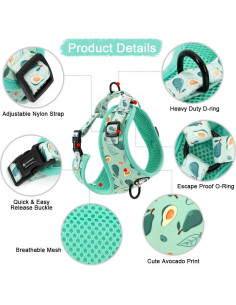 Conjunto Arnés y Correa Ajustable Coowone para Perro Mediano 2