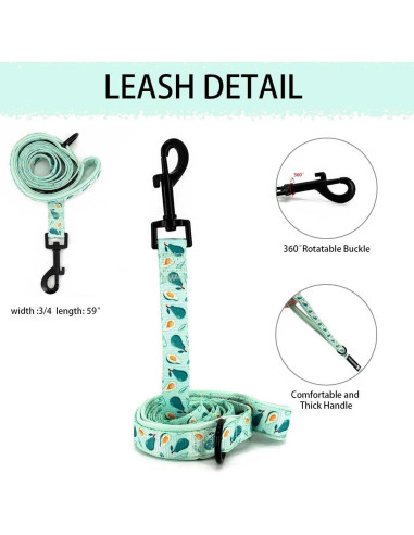 Conjunto Arnés y Correa Ajustable Coowone para Perro Mediano