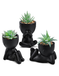 Plantas Falsas Suculentas Der Rose - 3 Paquetes Decorativos