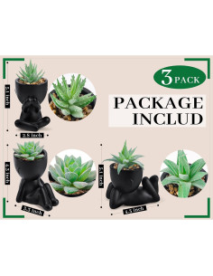 Plantas Falsas Suculentas Der Rose - 3 Paquetes Decorativos 2