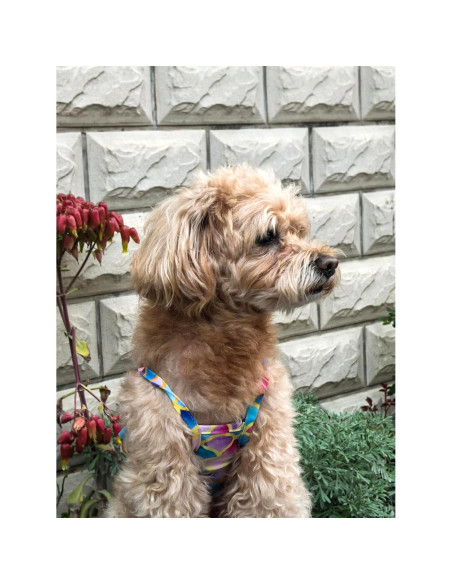 Bikini para Perros IMDOUBLEDOU Sirena Pequeño Extra Ropa Verano