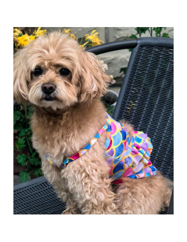 Bikini para Perros IMDOUBLEDOU Sirena Pequeño Extra Ropa Verano