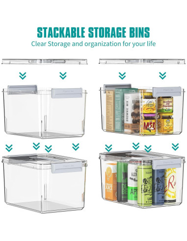 Contenedores de Almacenamiento Plástico MAGDESIGNER 4.5QT y 8.5QT