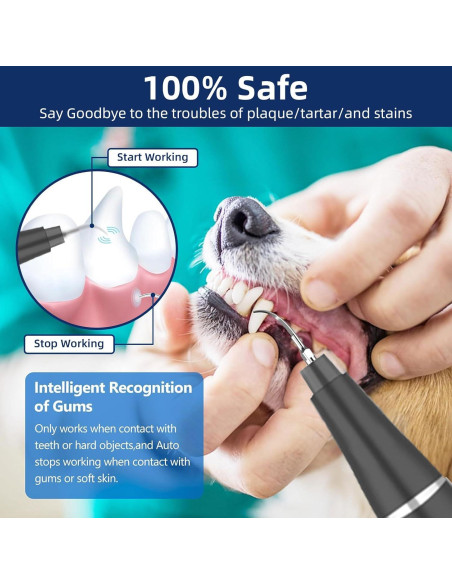 Kit de Limpieza Dental Ultrasónico para Perros Psytpusa - 9 Piezas