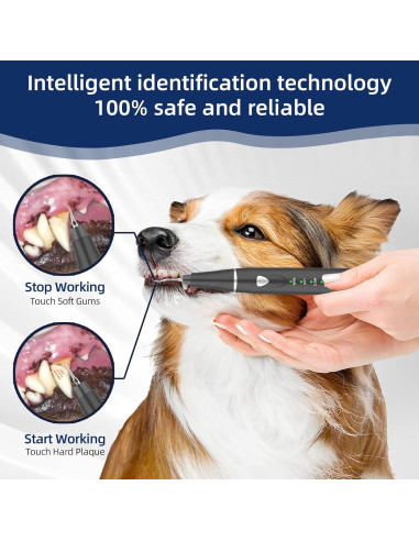 Kit de Limpieza Dental Ultrasónico para Perros Psytpusa - 9 Piezas