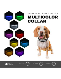 Collar LED para Perros ZAPRIX - Impermeable y Recargable USB-C 2