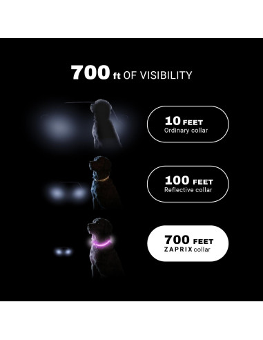 Collar LED para Perros ZAPRIX - Impermeable y Recargable USB-C