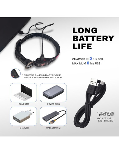 Collar LED para Perros ZAPRIX - Impermeable y Recargable USB-C